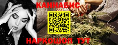 прущие грибы Ставрополь