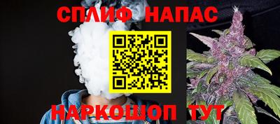 прущие грибы Ставрополь