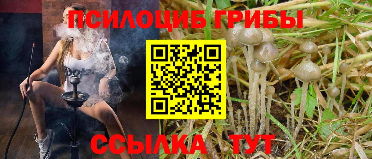 Галлюциногенные грибы ЛСД  Вход с VPN  Галлюциногенные грибы мухоморы  Арзамас 